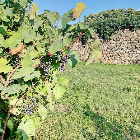 Bed & Breakfast Moryn 3*