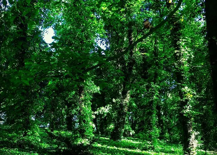 Willa Moryń 3* Moryn