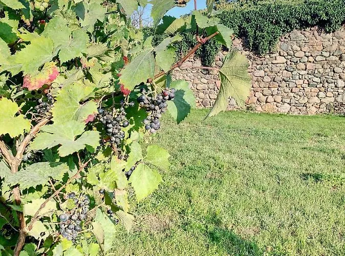 Nocleg ze śniadaniem Willa Moryń 3*